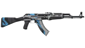 Skin's image