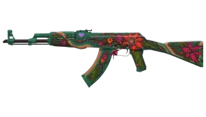 Skin's image