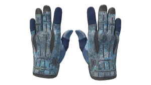 ★ Sport Gloves | Frosty
