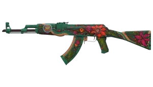Skin's image