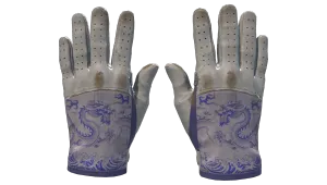 ★ Driver Gloves | Wave Chaser (Field-Tested)