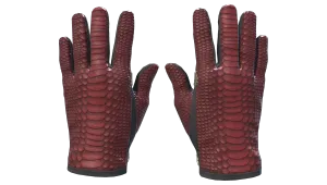 ★ Driver Gloves | Dragon Fists
