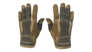 Gants de sport (★) | Aride (Testée sur le terrain)