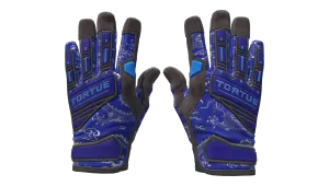 ★ Specialist Gloves | Cloud Chaser