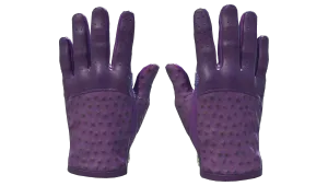 ★ Driver Gloves | Plum Quill