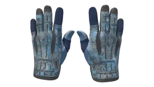 ★ Sport Gloves | Frosty