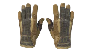 ★ Sport Gloves | Arid (Factory New)