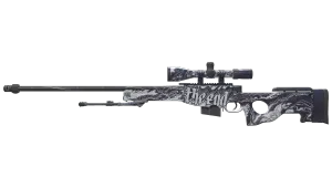 AWP | The End