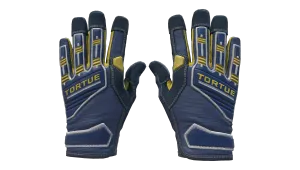 Gants de spécialiste (★) | Spécialiste du terrain