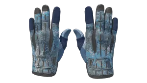 ★ Sport Gloves | Frosty