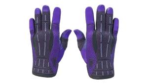 Gants de sport (★) | Boîte de Pandore (Très peu usée)