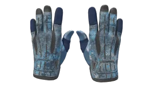 ★ Sport Gloves | Frosty