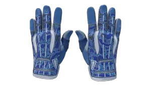 ★ Sport Gloves | Amphibious (Minimal Wear)