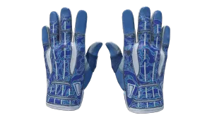 ★ Sport Gloves | Amphibious