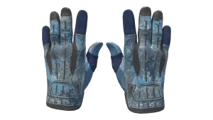 ★ Sport Gloves | Frosty