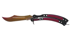 StatTrak™ Cuchillo Mariposa ★ | Desteñido