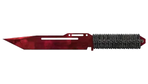 Paracordkniv (★ StatTrak™) | Doppler (Fabriksny)