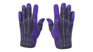 Gants de sport (★) | Boîte de Pandore (Très peu usée)