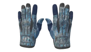 ★ Sport Gloves | Frosty
