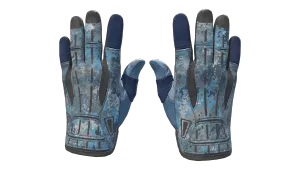 ★ Sport Gloves | Frosty