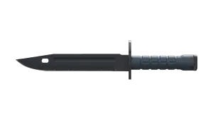 StatTrak™ Bayonet ★ | Night
