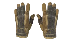 Guantes de deporte ★ | Árido (Casi nuevo)