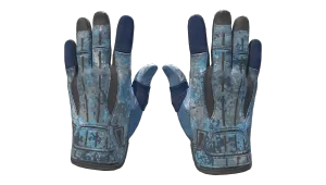 ★ Sport Gloves | Frosty
