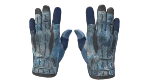 ★ Sport Gloves | Frosty