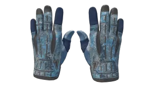 ★ Sport Gloves | Frosty (Factory New)