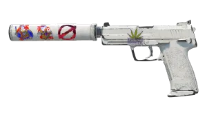 USP-S | Whiteout (Well-Worn)