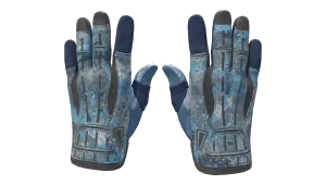 ★ Sport Gloves | Frosty