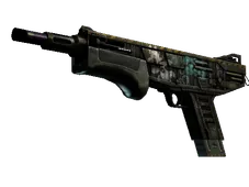 Skin's image