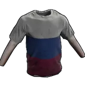 Skin's image