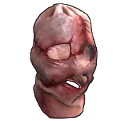 Skin's image