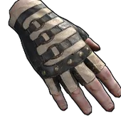 Skin's image