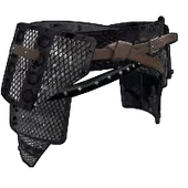 Skin's image