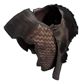 Skin's image