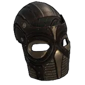 Skin's image