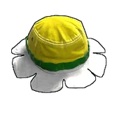 Skin's image