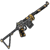 Skin's image