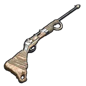 Skin's image
