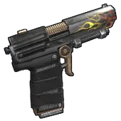 Skin's image