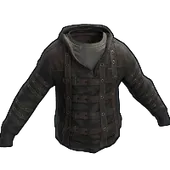 Skin's image