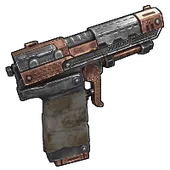 Skin's image