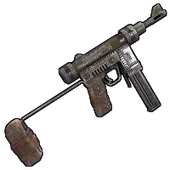 Skin's image