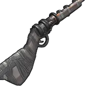 Skin's image