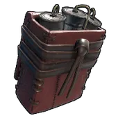 Skin's image