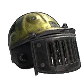 Skin's image
