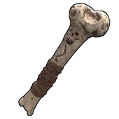 Skin's image