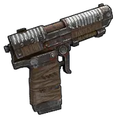 Skin's image
